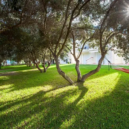 Olga Garden Διαμέρισμα